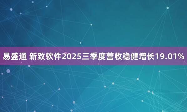易盛通 新致软件2025三季度营收稳健增长19.01%